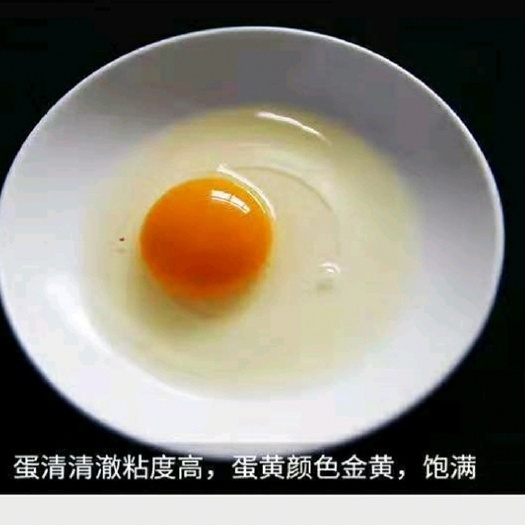 霍邱县农家土鸡蛋