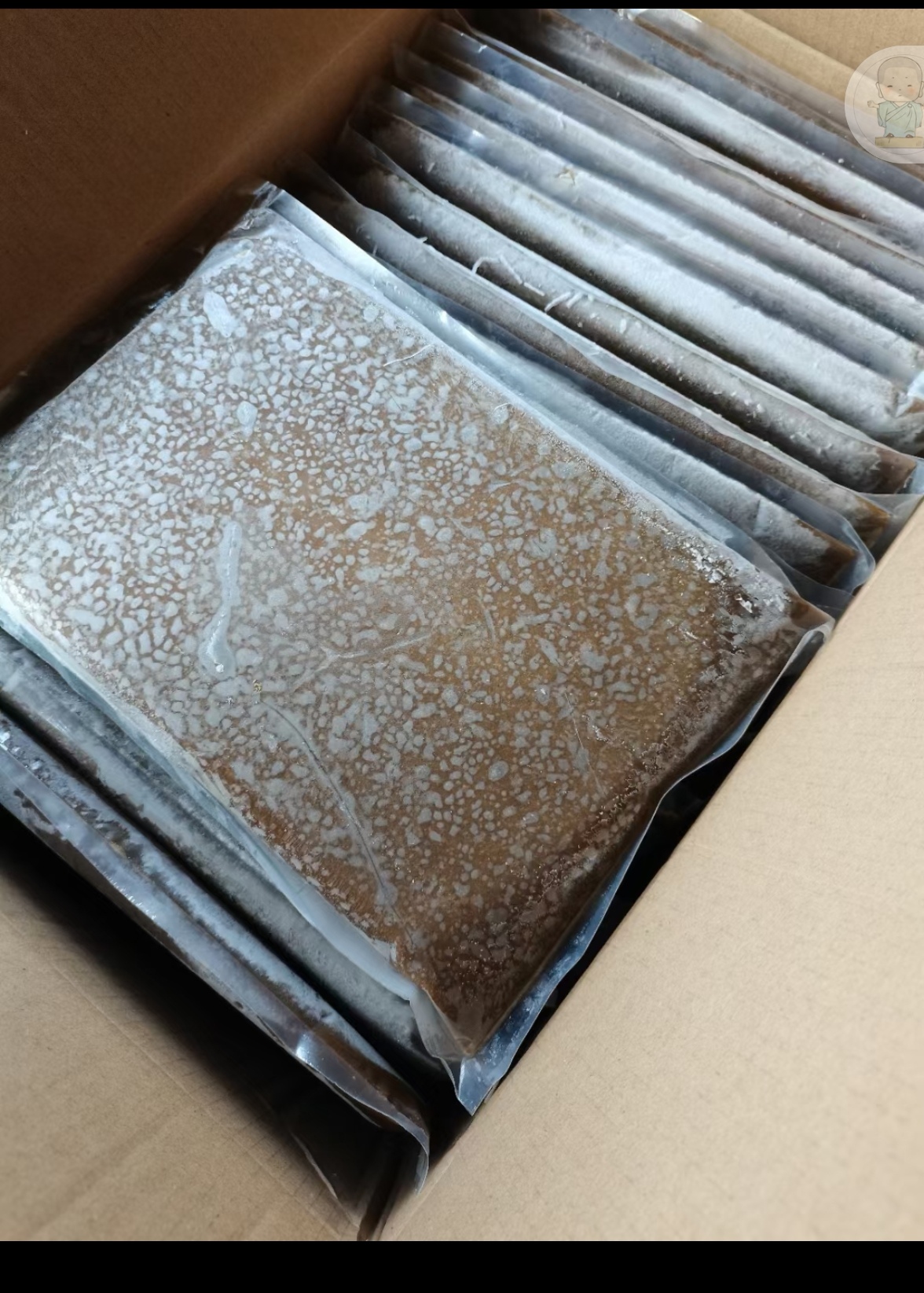精品丰年虫，鲜货，冻板，量大价优