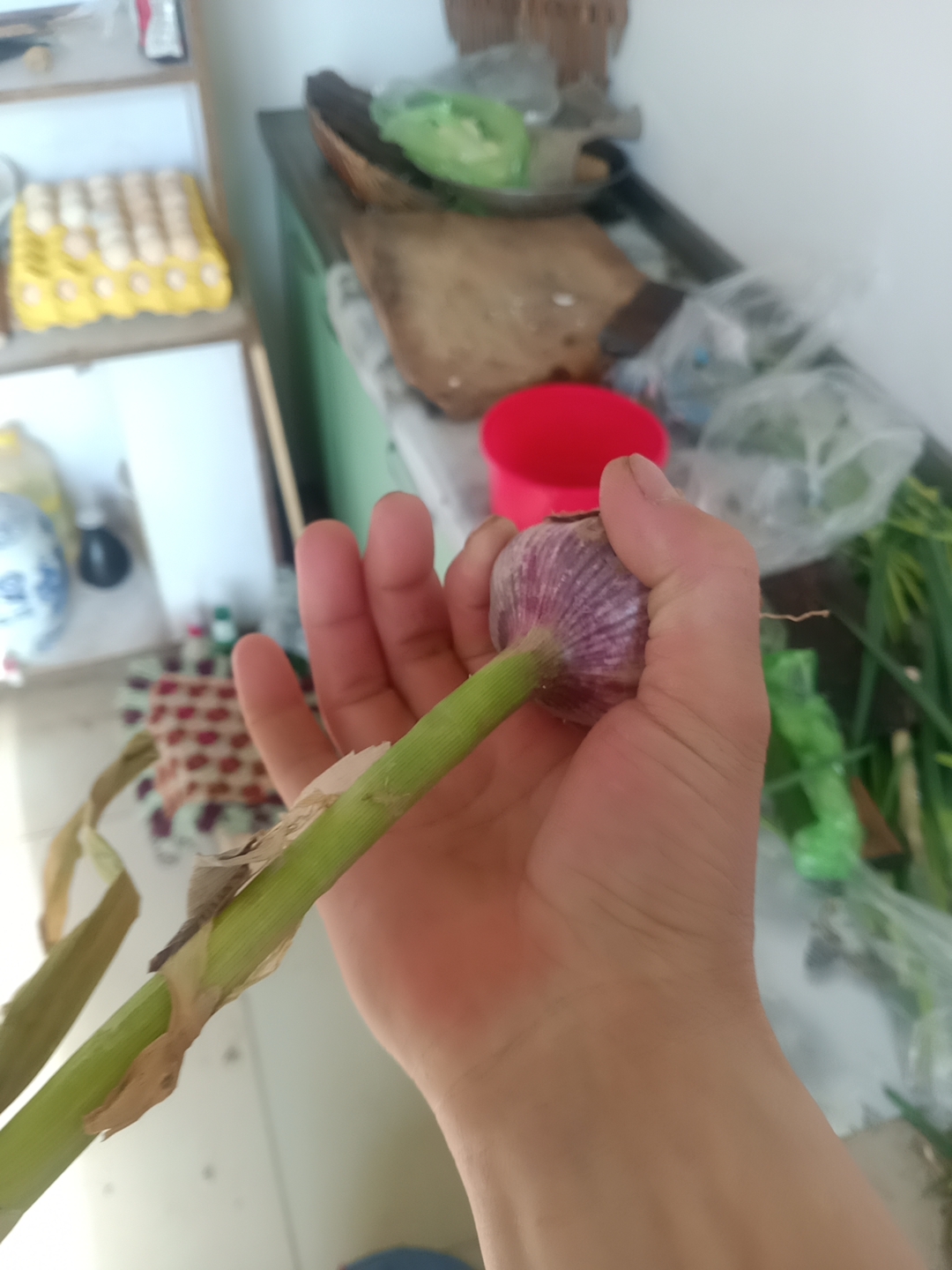 大蒜