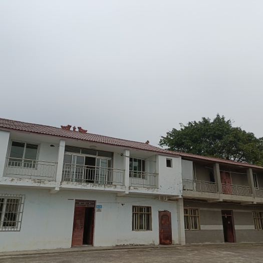 重庆市重庆北碚区西山坪606亩金槐地，适合种植药材，套种，有管