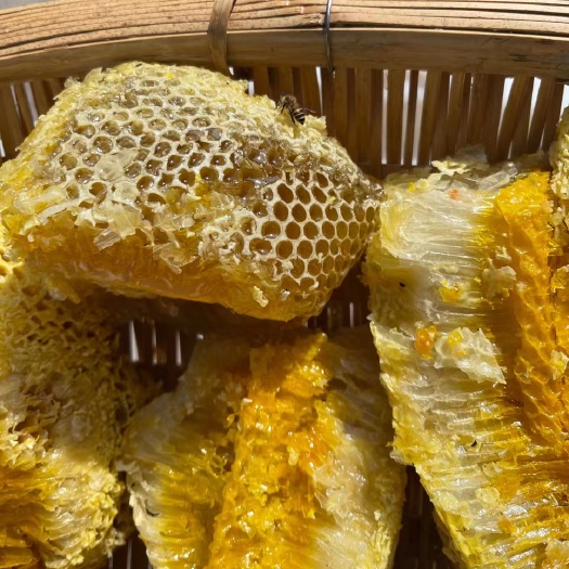 野外大挂蜂蜜