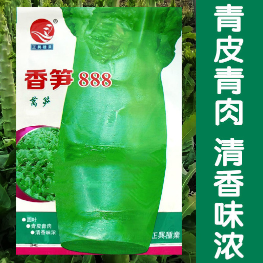 长沙县香笋888莴笋种子 耐寒耐热圆叶莴笋种青皮青肉大田用种15克