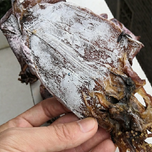 新化县鱿鱼干A2手撕干鱿鱼干烧烤专用干货散装1斤=10-15只