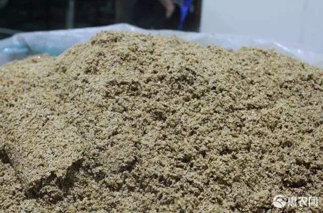 合肥啤酒糟啤酒渣 细渣 脱水酒糟 江西 安徽 山东 江苏大量现货