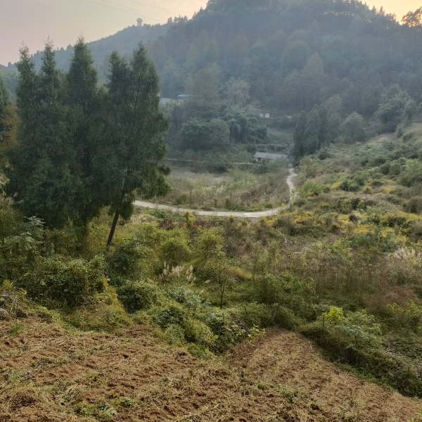 巴南丰盛宅基地重庆巴南景区内宅基地240平3000一年，