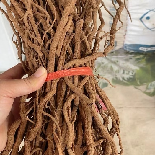 玉林胡椒根