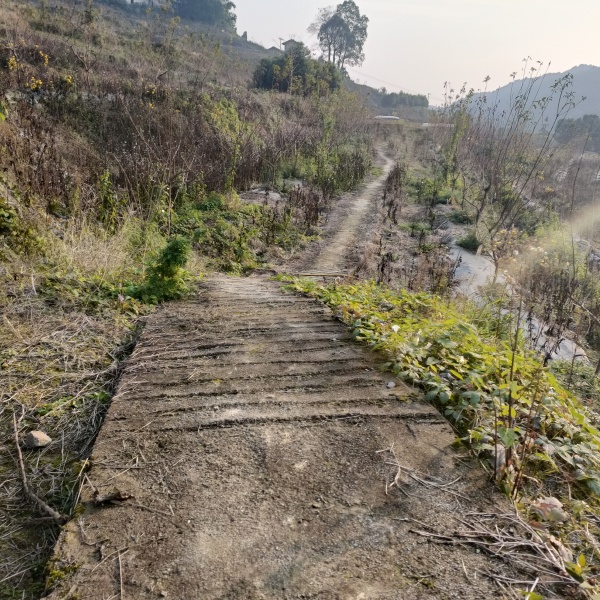 巴南区200亩桃园寻求托管合同与村上签订 土地租金为60