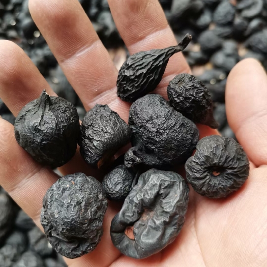 思茅乌灵参