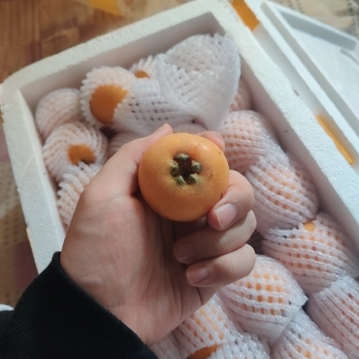 永善县农户自家的大枇杷