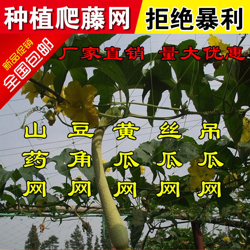 无棣县爬藤网架豆角山药甜苦瓜吊冬瓜黄瓜苦瓜丝瓜百香果农用攀藤种植网
