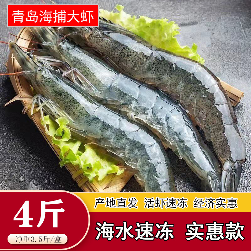 大連大蝦鮮活冷凍海鮮大水產品 青島海蝦新蝦冷凍對蝦青蝦