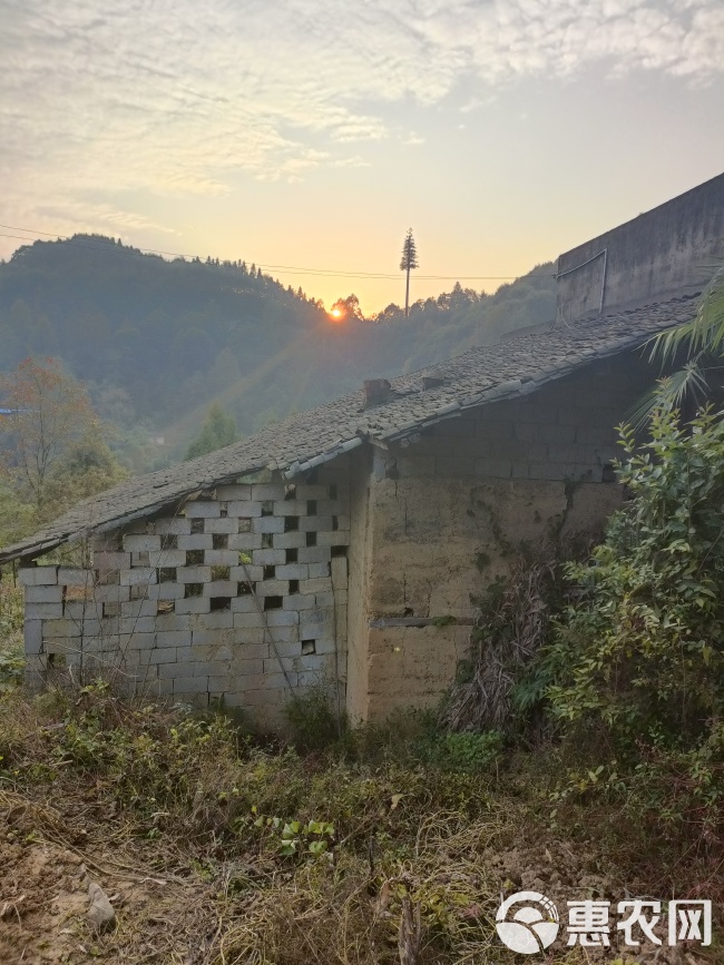 巴南丰盛宅基地重庆巴南景区内宅基地240平3000一年，