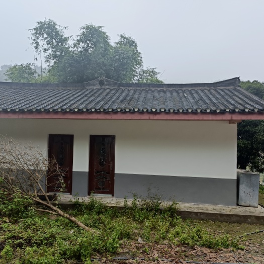重庆市重庆市江北五宝，山上的民房，现在120一个平方，空气及其