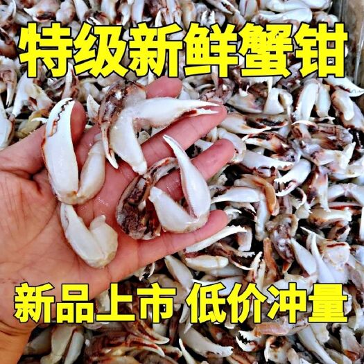 蟹钳新鲜速冻沙蟹钳麻辣蟹钳醉蟹钳食材批发