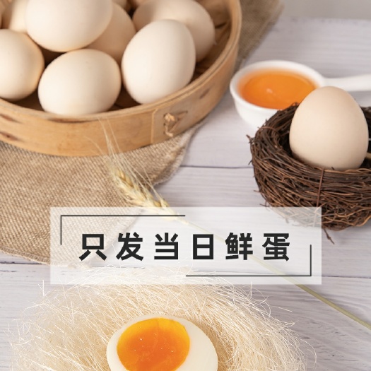 上海新鲜鸡蛋，当日采摘，农场直供