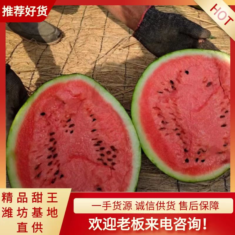 青州市山东潍坊甜王西瓜大量成熟上市 需要的联系