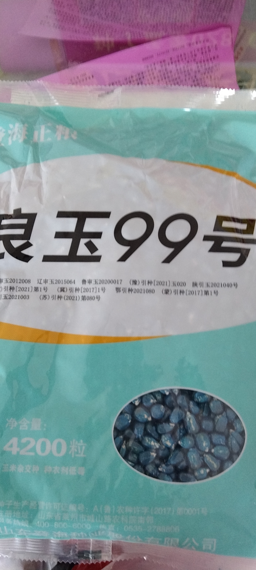 夏邑县良玉99玉米种子 良玉99，玉米种子，一袋4500粒，