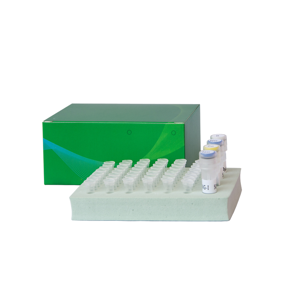 检测金黄色葡萄球菌核酸检测试剂盒（PCR-荧光探针法）