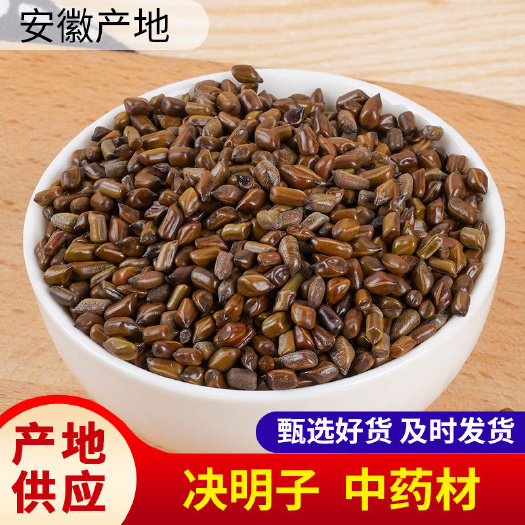 决明子 大颗粒饱满决明子 优质选货决明子规格齐全可供批发零售