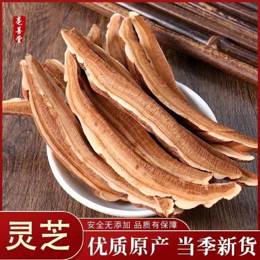 亳州灵芝片