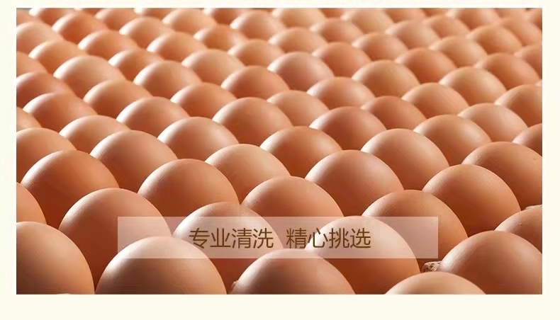 昆明云南正大蛋业有限公司主要批发盒装以及散装鸡蛋