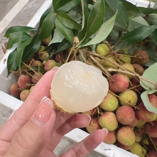 海口海南热带水果荔枝