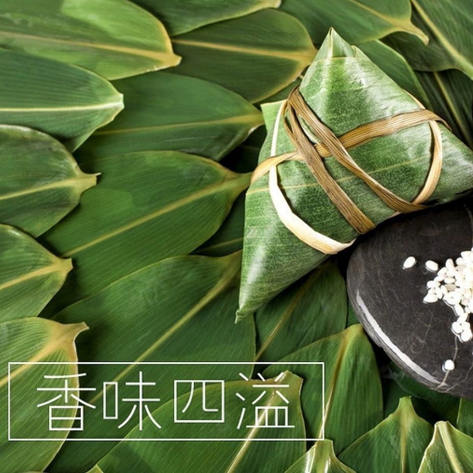 粽叶新鲜特大粽叶现摘端午节粽子叶非芦苇叶干叶天然棕叶箬叶