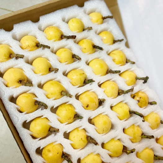 杭州塘栖枇杷，白沙，口感细腻，水分足，新鲜采摘