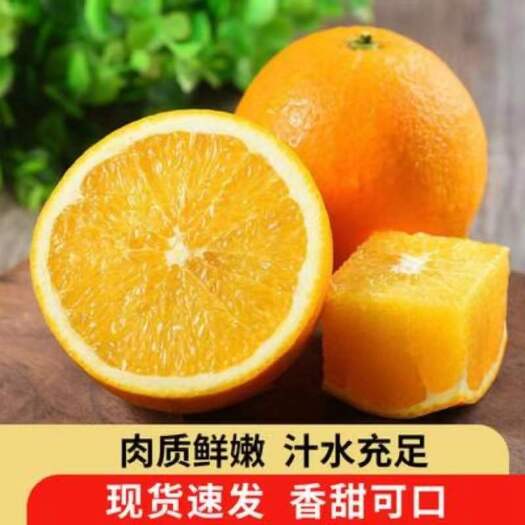 夏橙当季新鲜水果薄皮现摘水果甜脐橙橙子