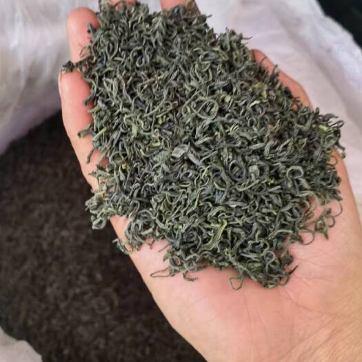 南江县南江大叶茶，绿茶，炒青