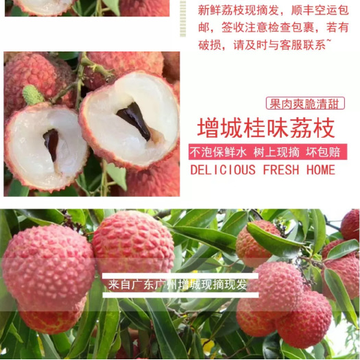 广州广州增城桂味荔枝，新鲜现摘现发，清甜爽口，小核肉厚