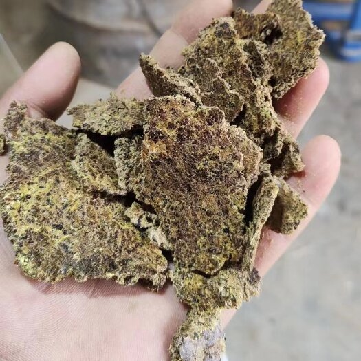石家庄棉籽饼