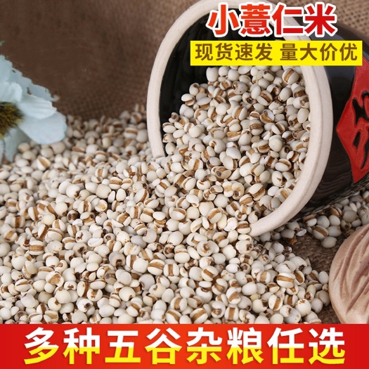 亳州生薏仁 精选薏仁米薏米仁 无硫净货贵州薏苡仁可供实体店批发零