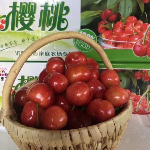 蒙阴县山东蒙阴美早樱桃新鲜采摘28-30mm电商果现摘现发