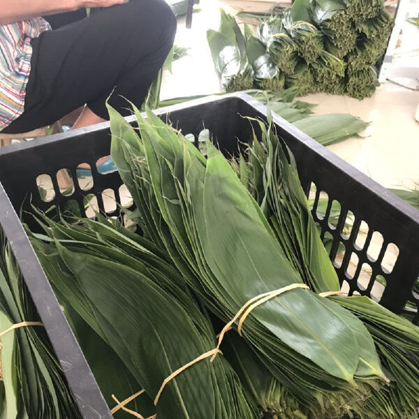 粽叶新鲜特大粽叶现摘端午节粽子叶非芦苇叶干叶天然棕叶箬叶