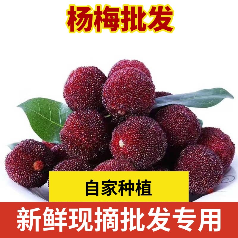 云霄县福建漳州杨梅