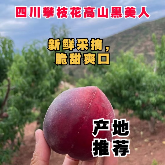 四川攀枝花高山黑美人桃，软硬2两次，桃香味浓郁，一手货源