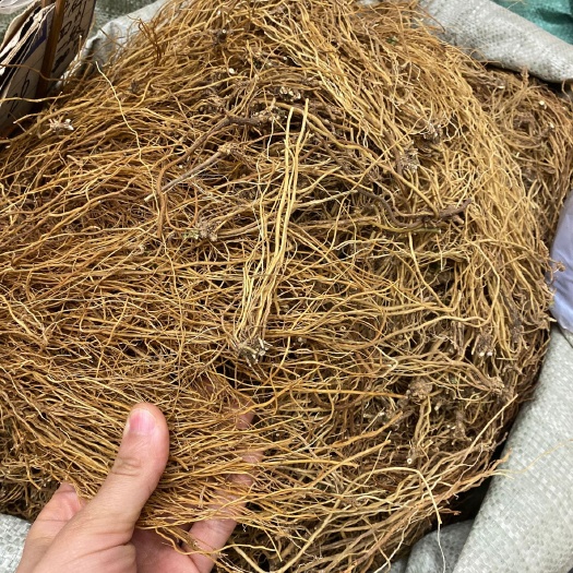 亳州山龙胆  北龙胆 无硫东北龙胆个龙胆片规格齐全 可供大货对接