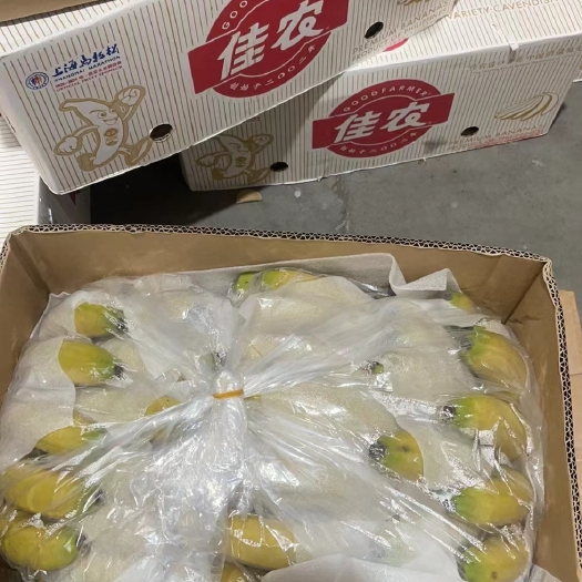 上海常年供应香蕉越南柬埔寨菲律宾南美等香蕉