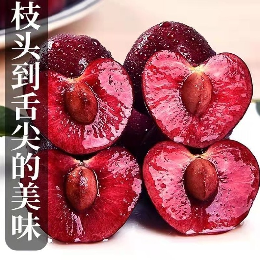 大荔县露地早大果樱桃陕西布鲁克斯 萨米托 红灯拉宾斯 樱桃大量