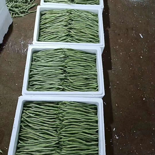 四季豆，豆王，一手贷源，金国发货。