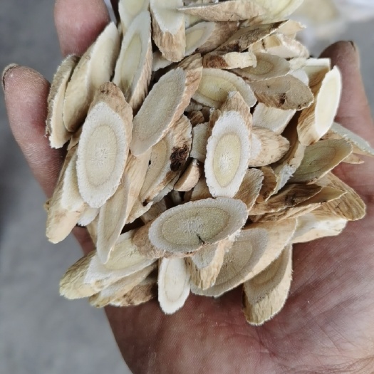 陇西县优质黄芪指甲片1.0以上基地一手货源