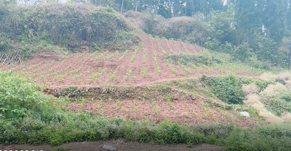 高山村厂房建设用地，500亩，在高速下道口，距离高速1公里