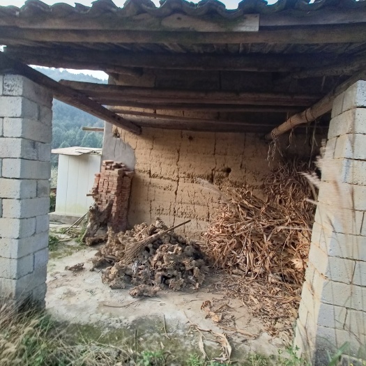 重庆市重庆巴南区200亩桃园寻求托管合同与村上签订