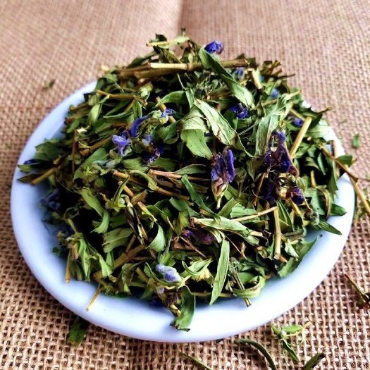 内蒙特产春坤山山茶天然黄芩茶纯黄芩叶内蒙春坤山燥湿