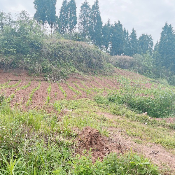 高山村厂房建设用地，500亩，在高速下道口，距离高速1公里