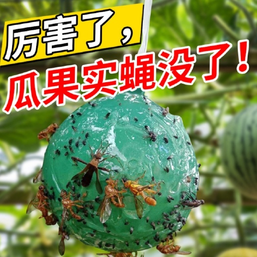博罗县诱蝇球柑橘大实蝇瓜果实蝇诱捕灭果蝇粘虫球针蜂诱虫球瓜果园专用