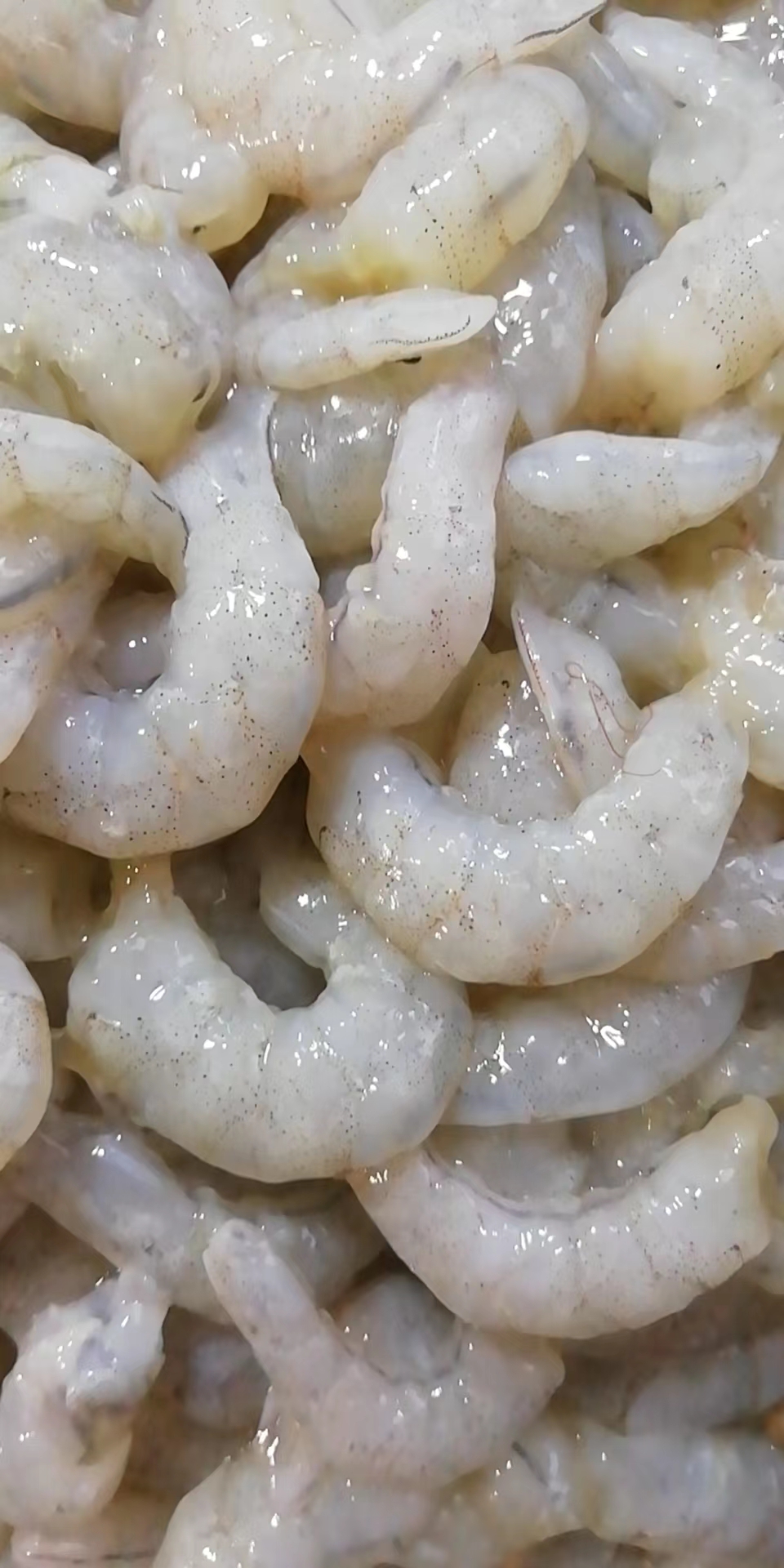 虾肉