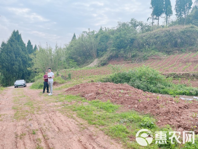 高山村厂房建设用地，500亩，在高速下道口，距离高速1公里