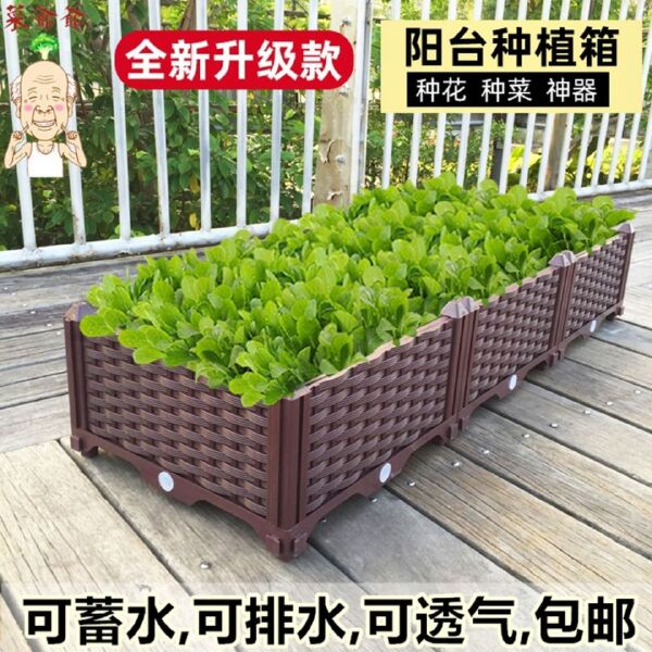 蔬菜种植箱塑料菜盆多功能花盆